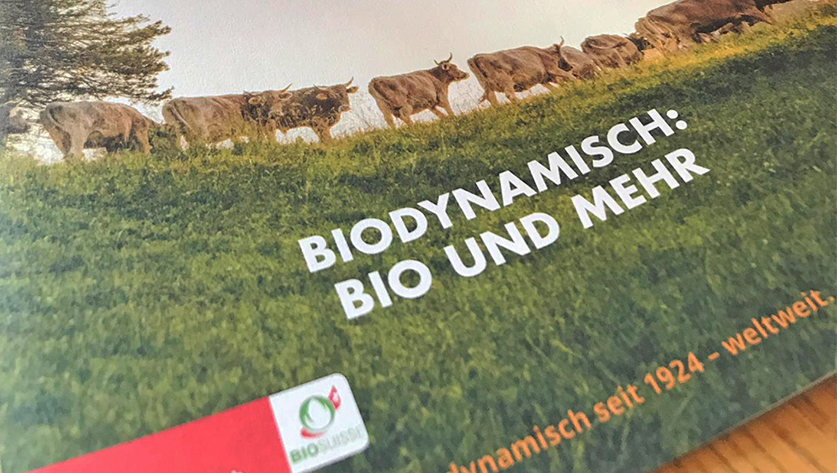 Weinwissen - Biodynamischer Weinbau: Hokuspokus oder das Mass aller Dinge?