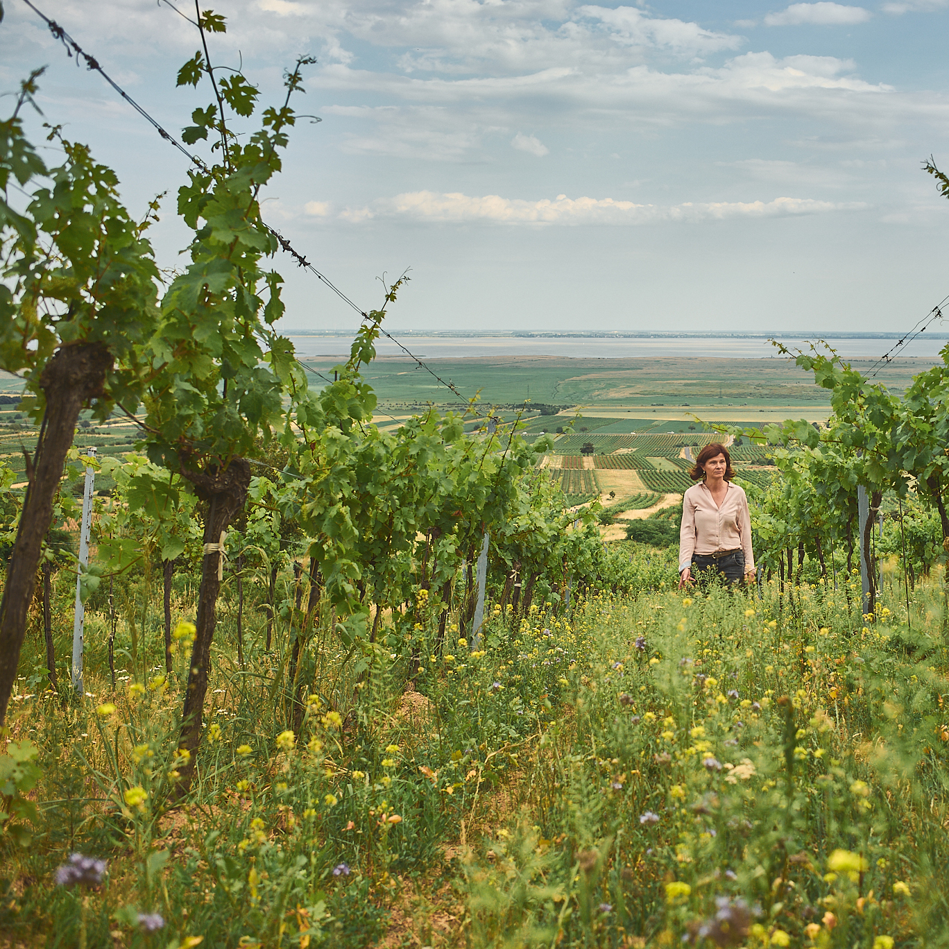 Fischer Weine - Birgit Braunstein