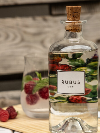 Weinwissen - Rubus: Spitzenplatz bei grosser Gin-Degustation