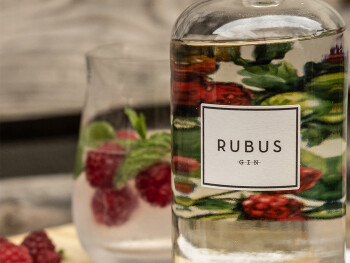 Weinwissen - Rubus: Spitzenplatz bei grosser Gin-Degustation