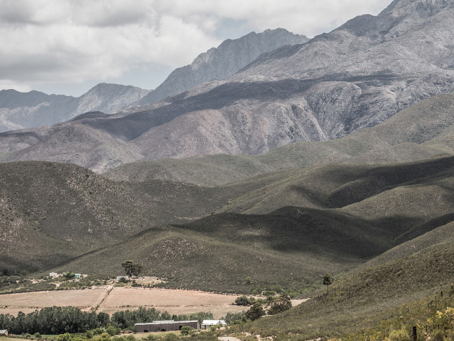 Weine von Six Dogs Distillery, Karoo