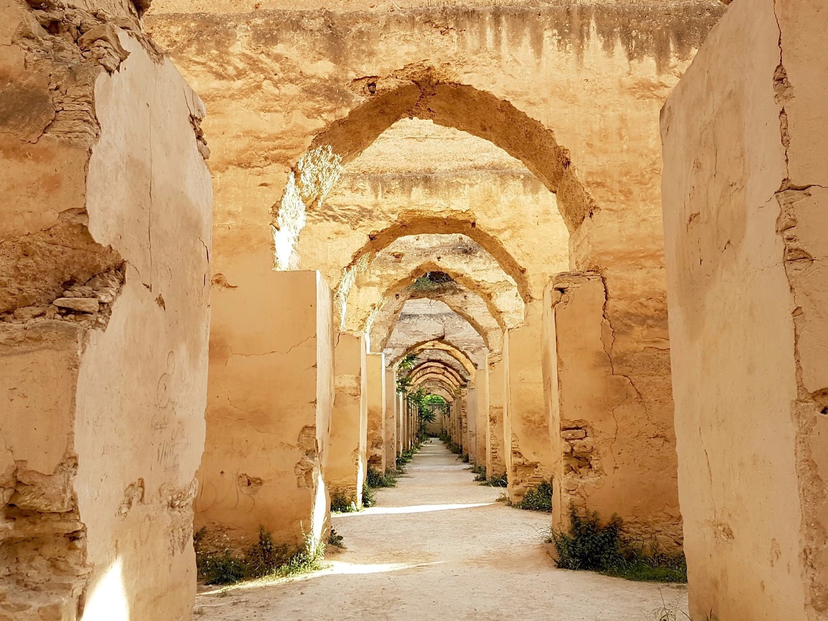 Weine von Domaine Larroque, Meknes