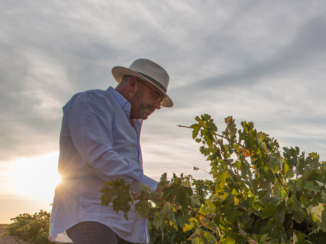 Weine von Bodegas Breca, Munébrega