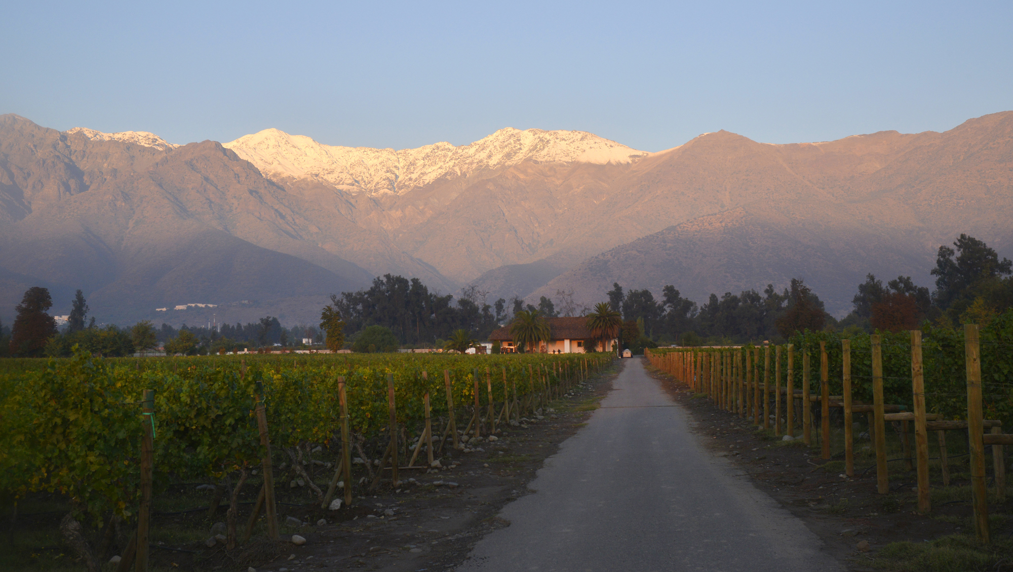 Weine aus Valle del Maipo