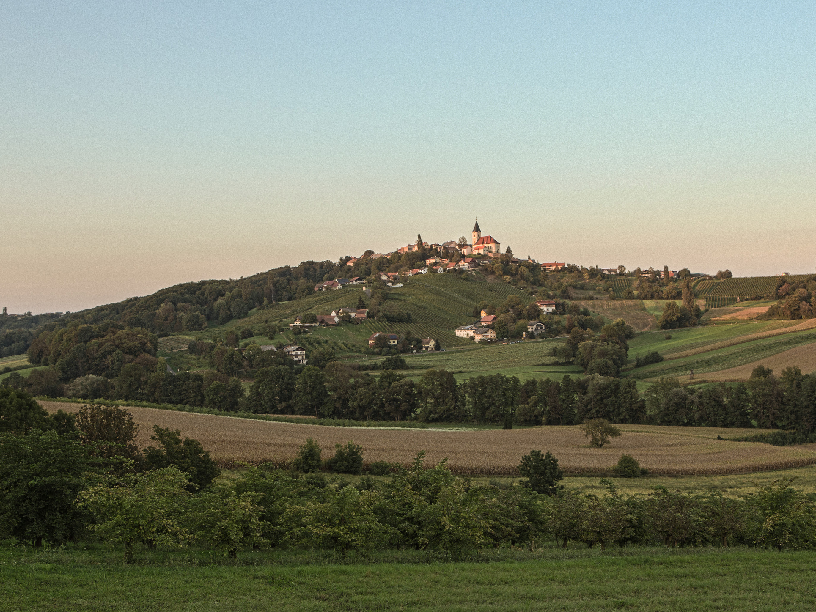 Fischer Weingut, St. Anna am Aigen