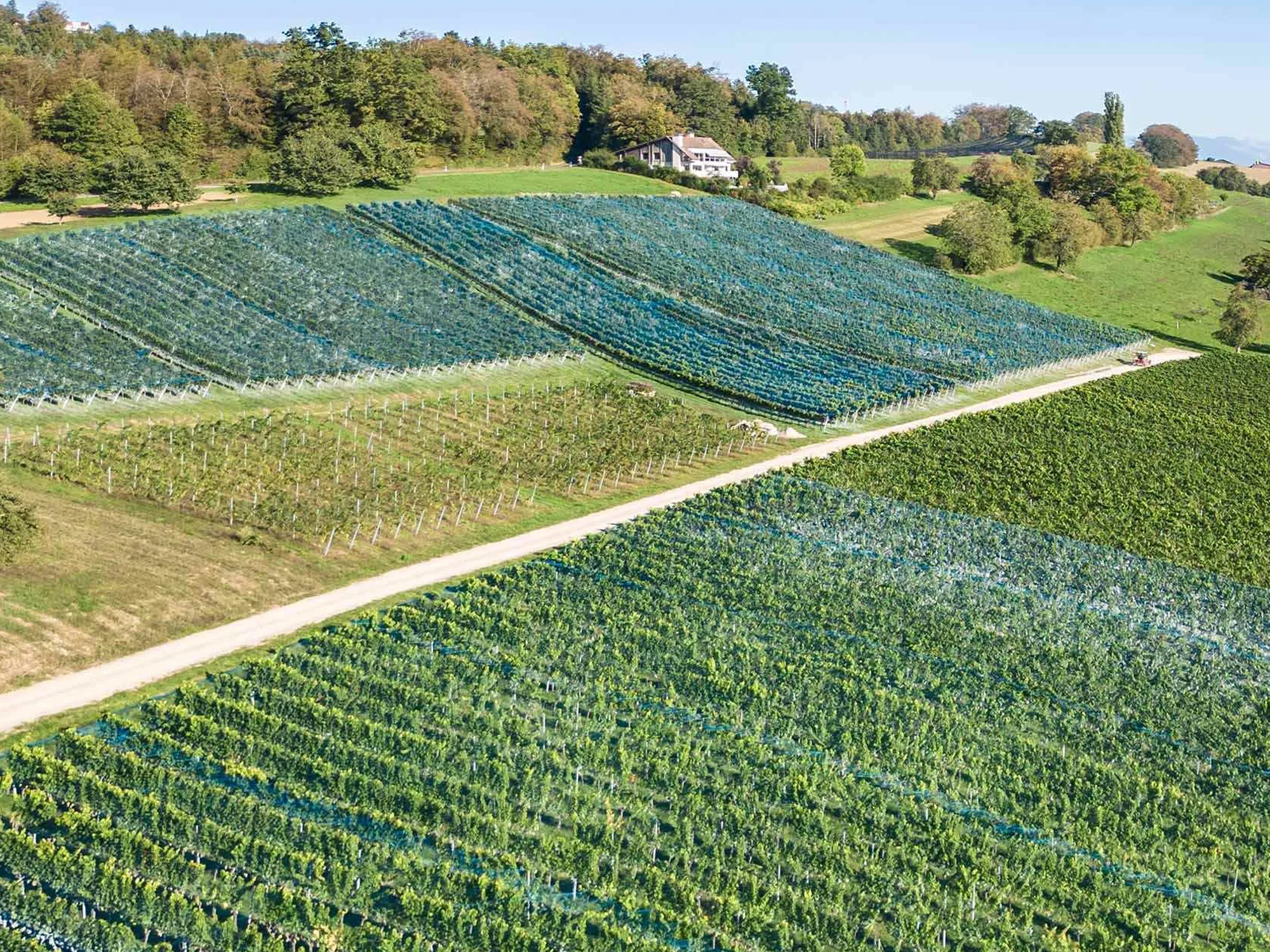 Brunner Weinmanufaktur, Hitzkirch