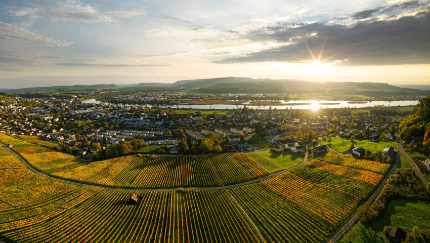 Weine aus Aargau