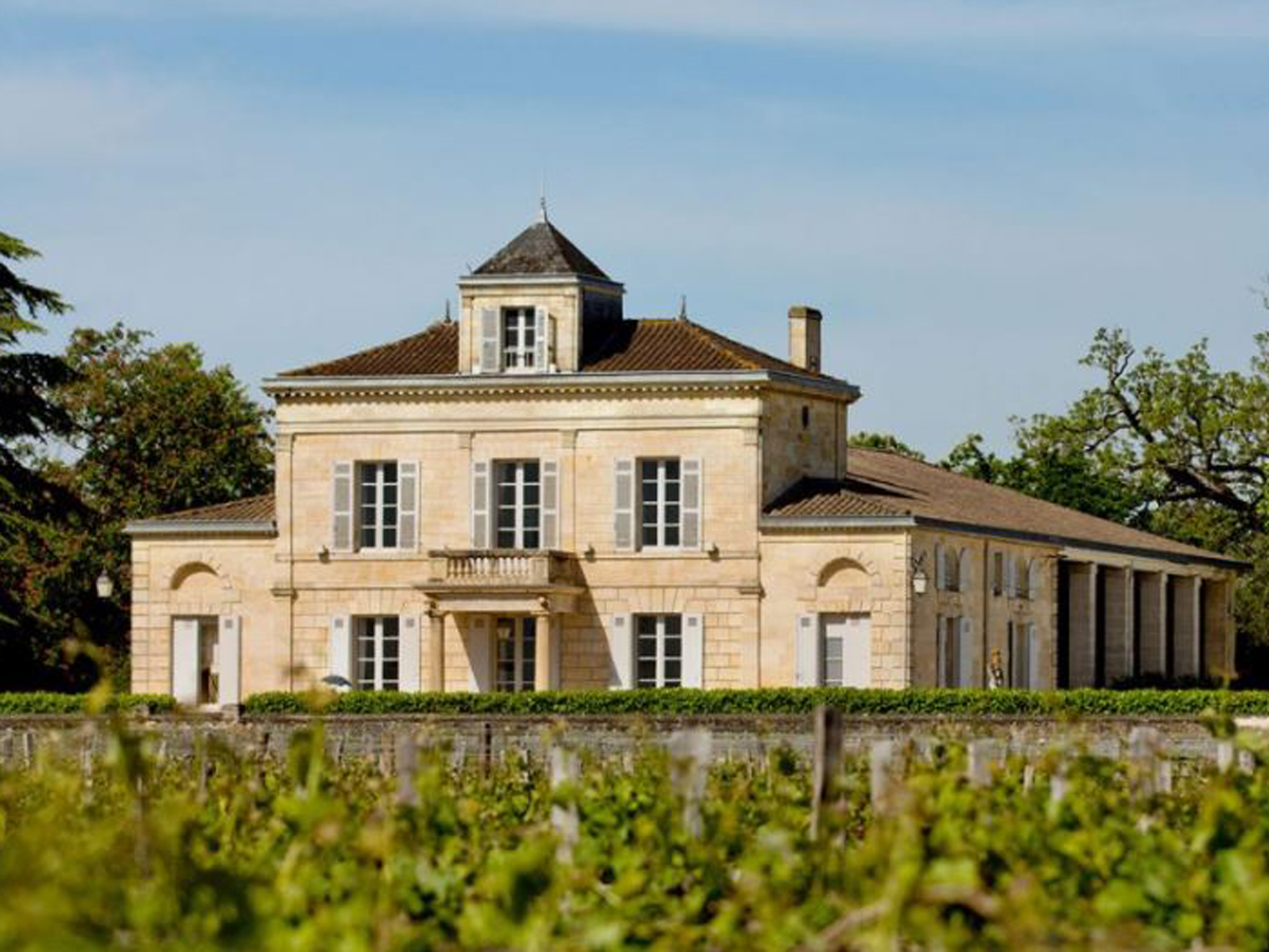 Château Montrose, Saint-Estèphe