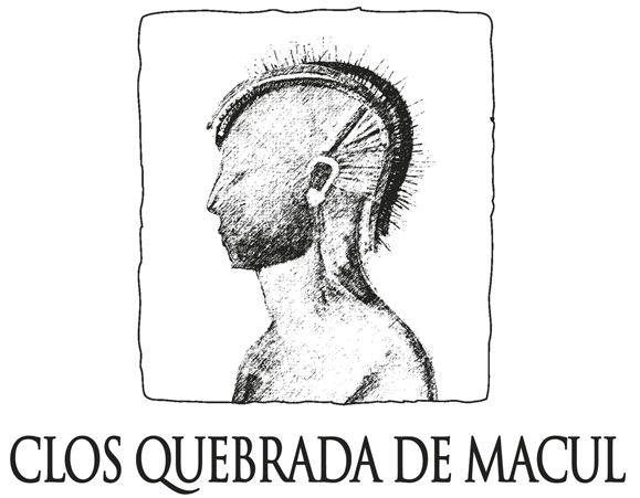 Logo Vina Quebrada de Macul, Santiago