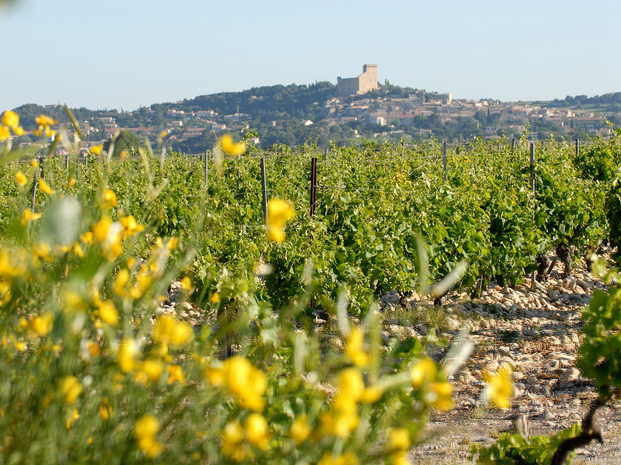 Vignobles Jérôme Quiot, Châteauneuf-du-Pape