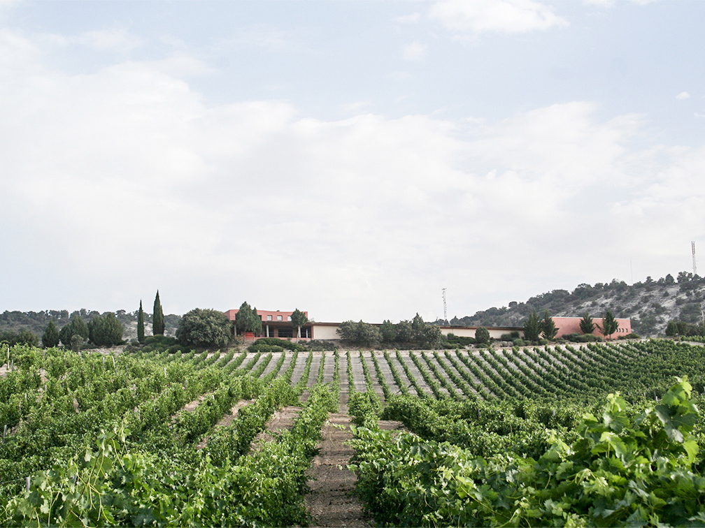 Bodegas Monasterio, Pesquera de Duero