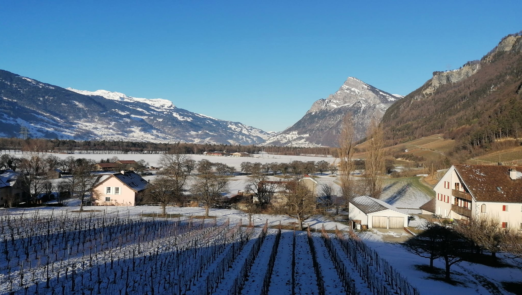 Weine aus Bündner Herrschaft