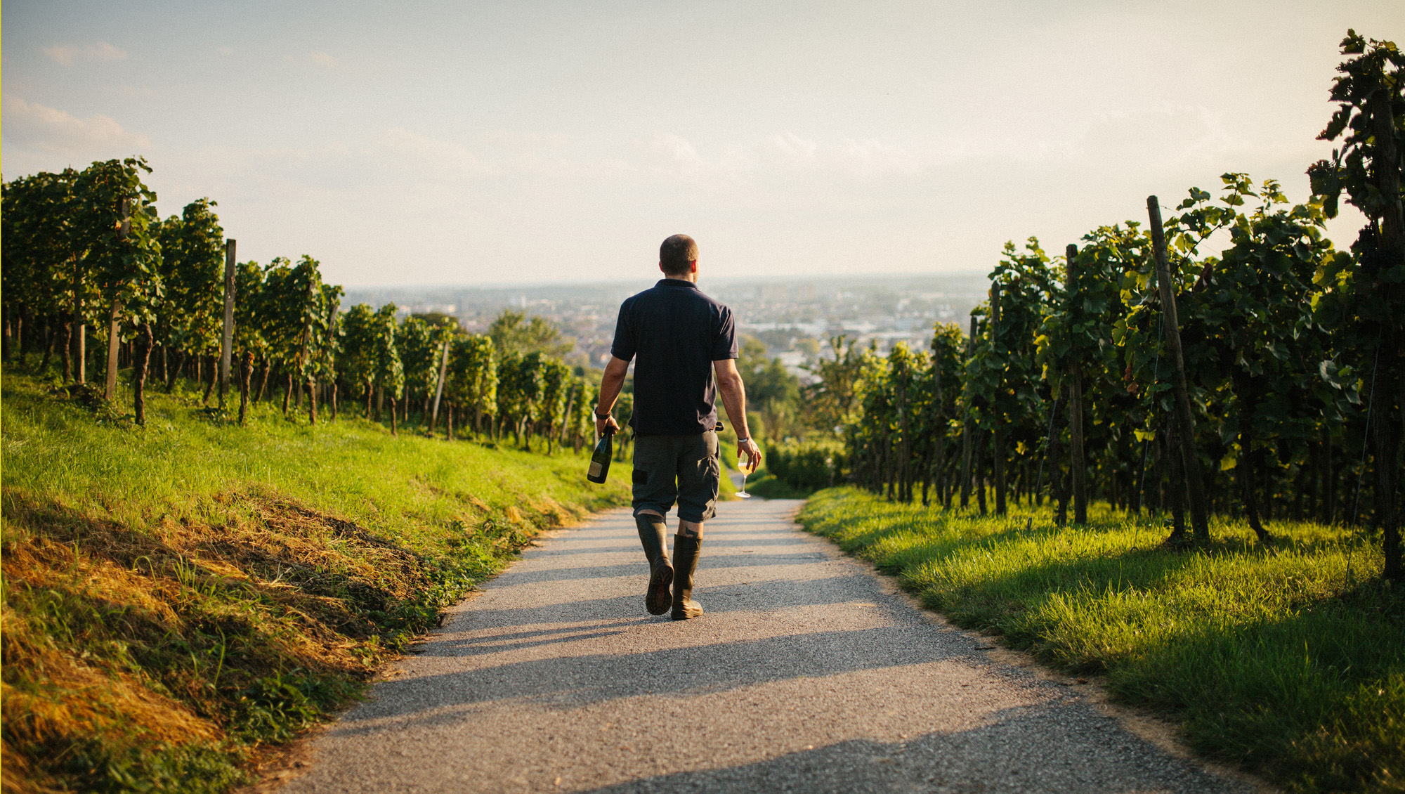 Weine aus Hessische Bergstrasse