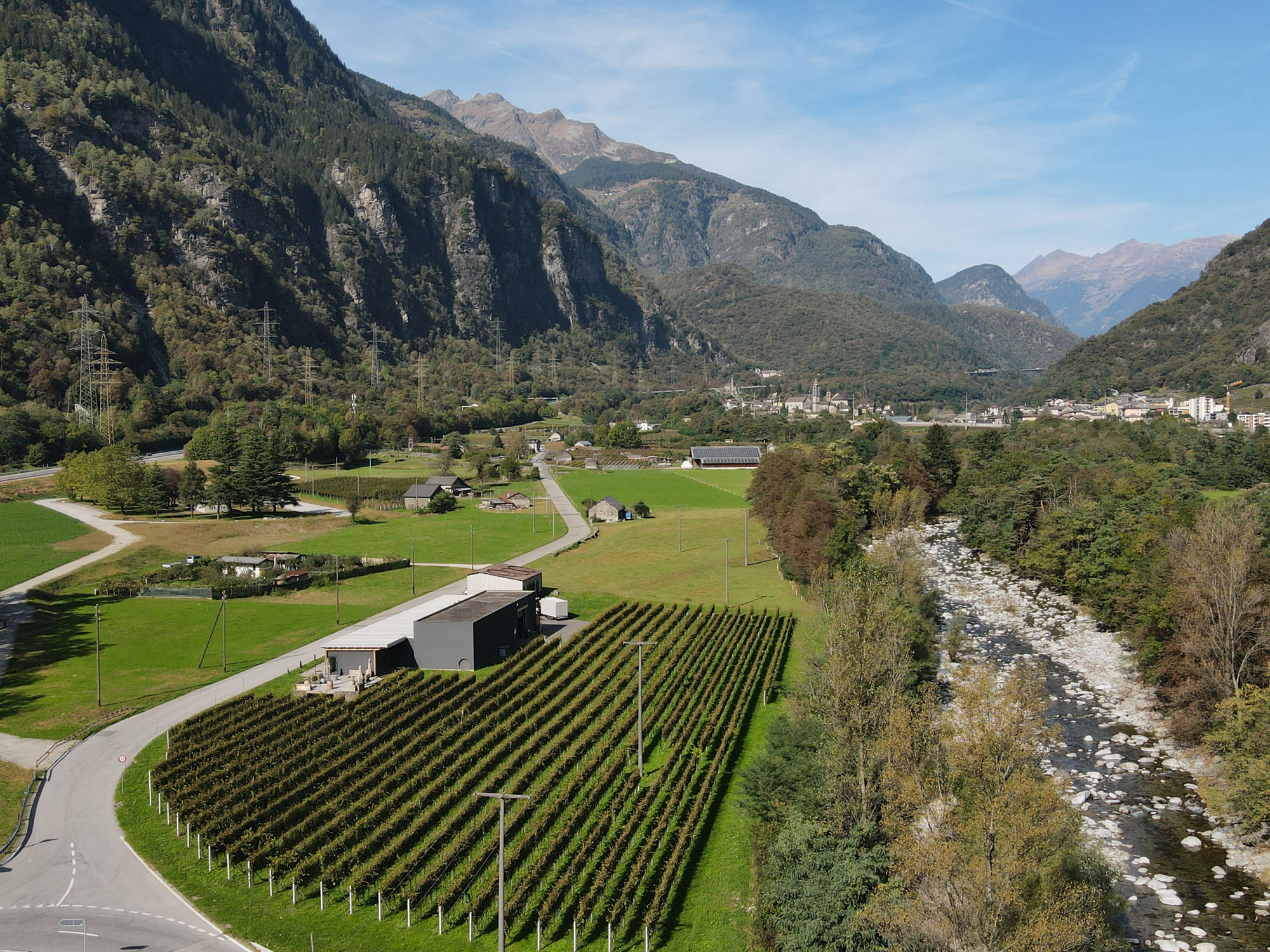 Cantina Settemaggio, Monte Carasso