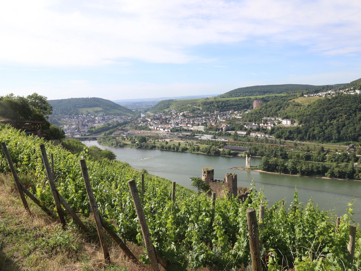 Riesling531, Rüdesheim