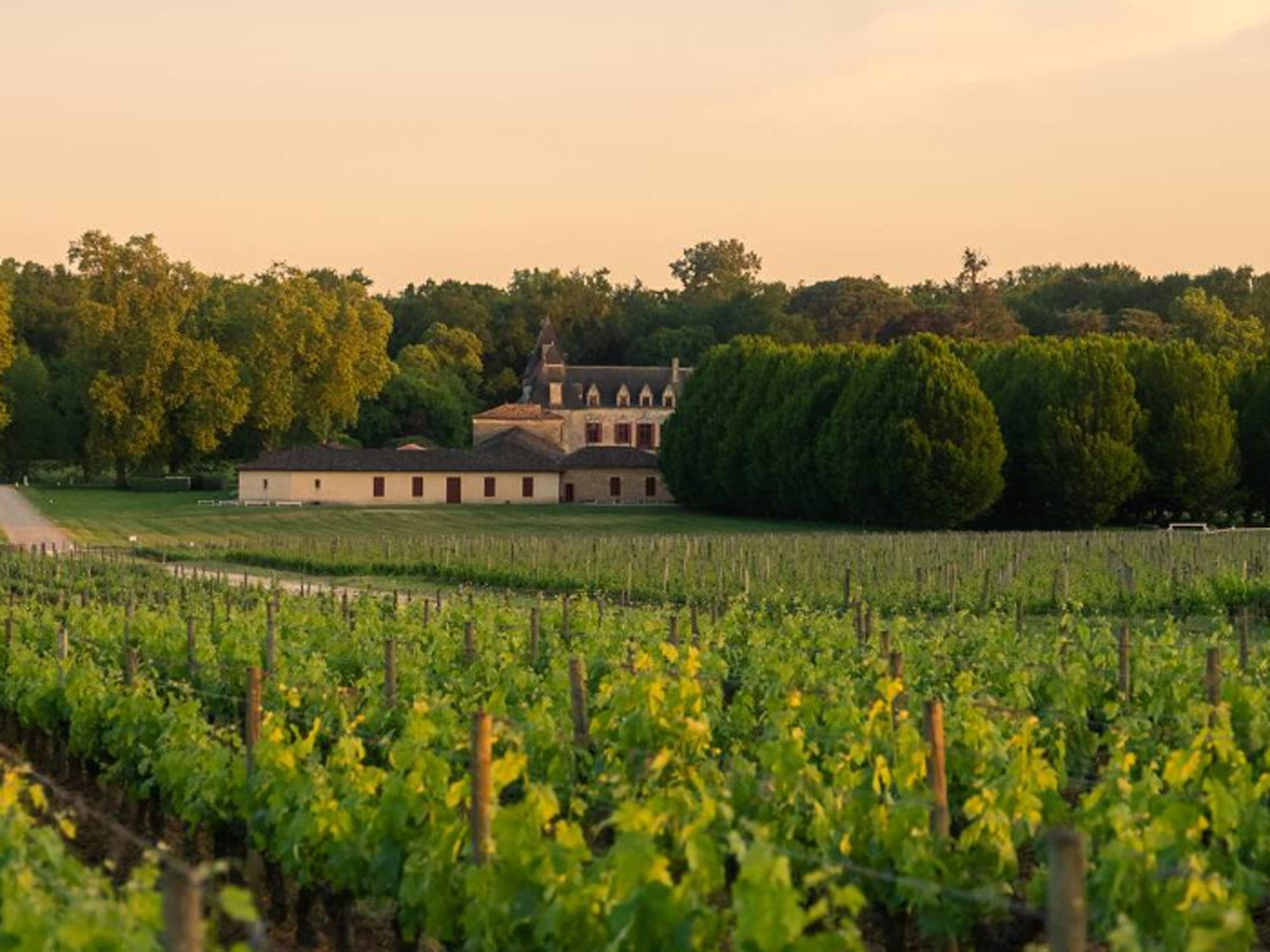 Château Olivier, Léognan