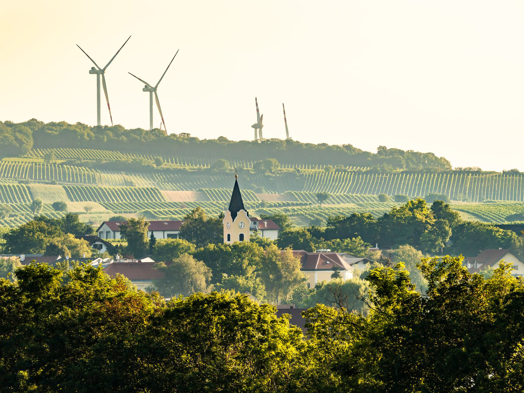 Weingut Taferner, Göttlesbrunn