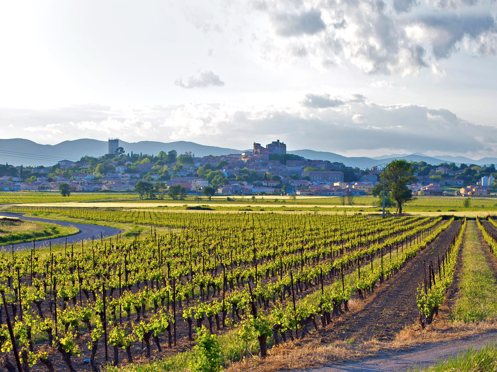 Domaine La Croix Belle, Puissalicon