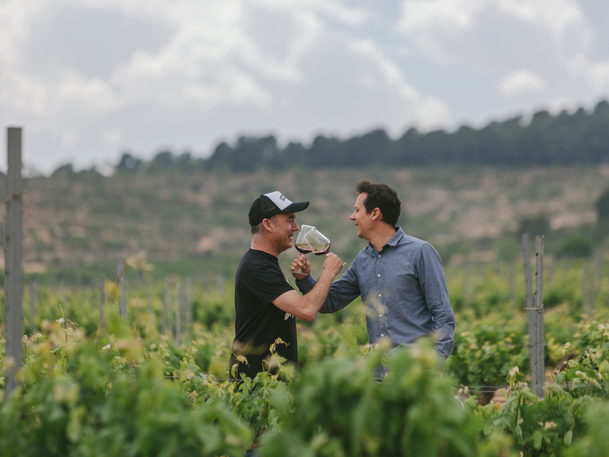 Weine von Bodegas Arráez, La Font de la Figuera