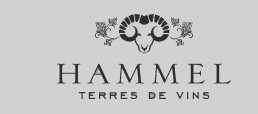 Logo Hammel, Rolle