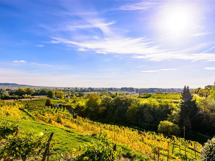 Weingut Fuchs und Hase, Langenlois