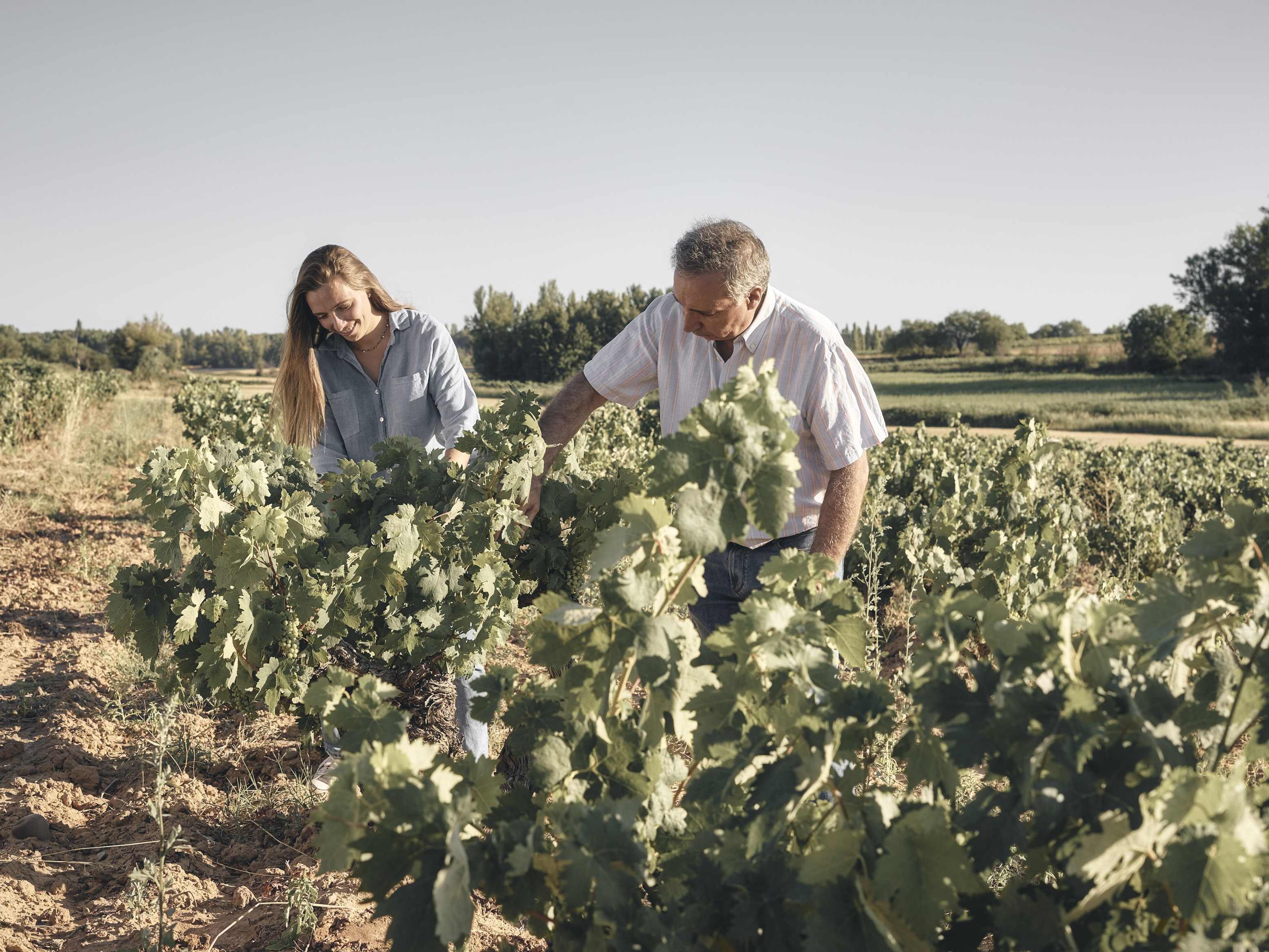 Weine von Bodegas Montegaredo, Boada de Roa