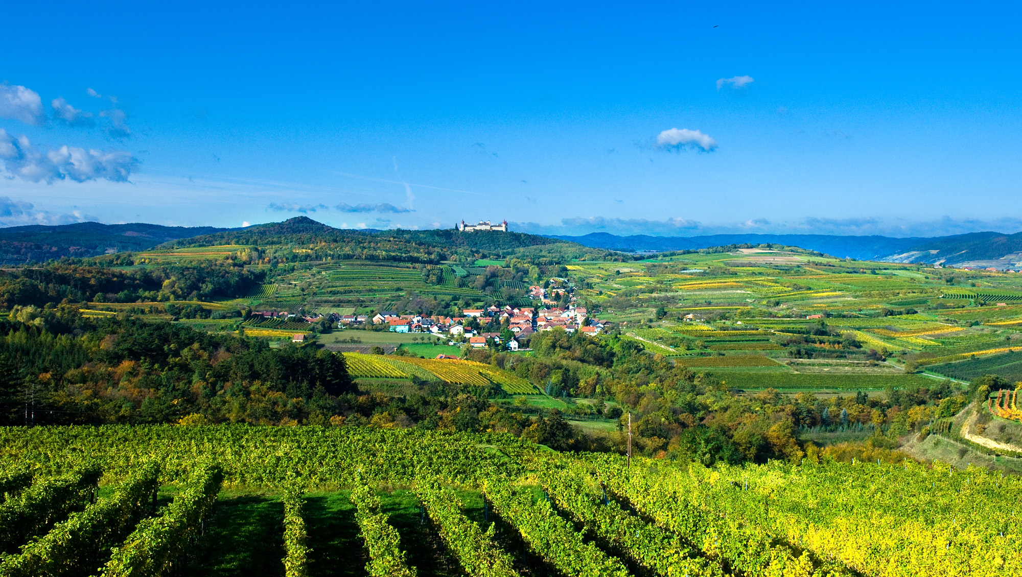 Weine aus Kremstal/Wachau