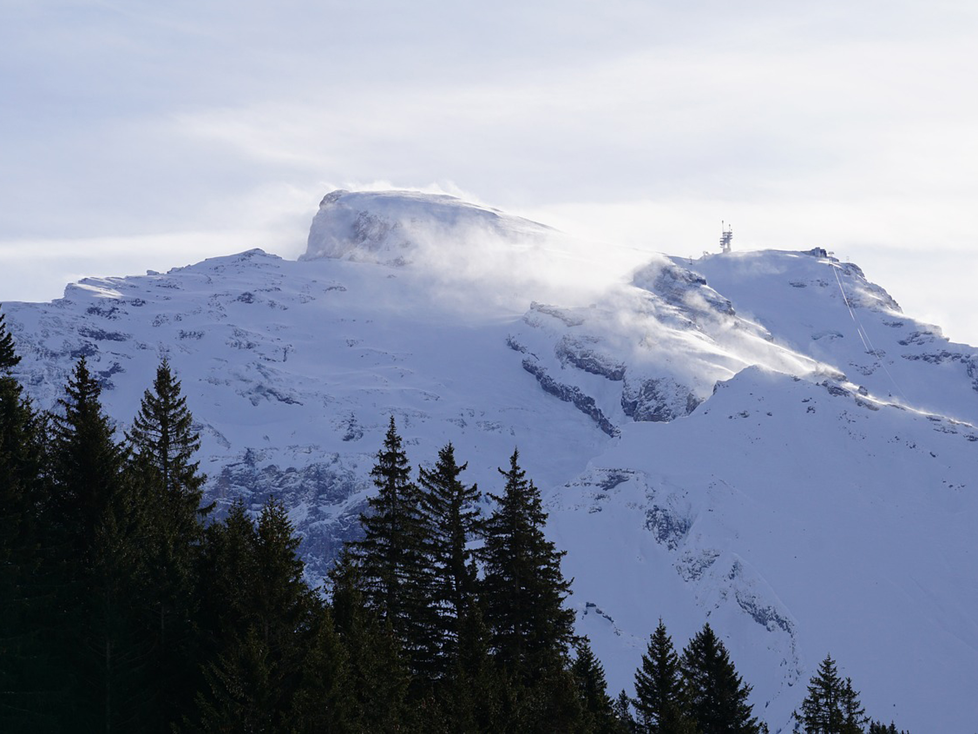 Weine von Titlis Gin, Engelberg