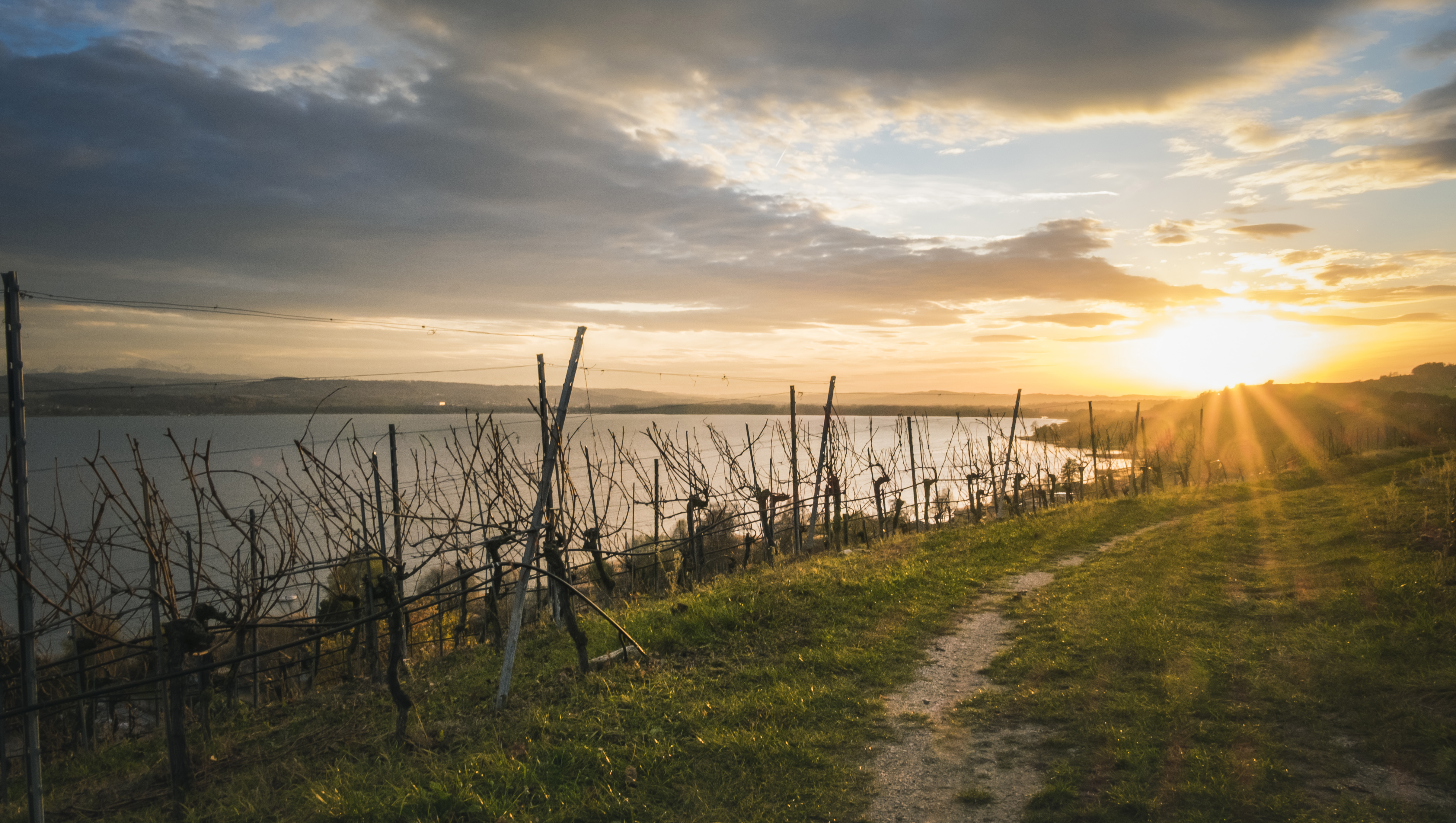 Weine aus Drei-Seen-Region