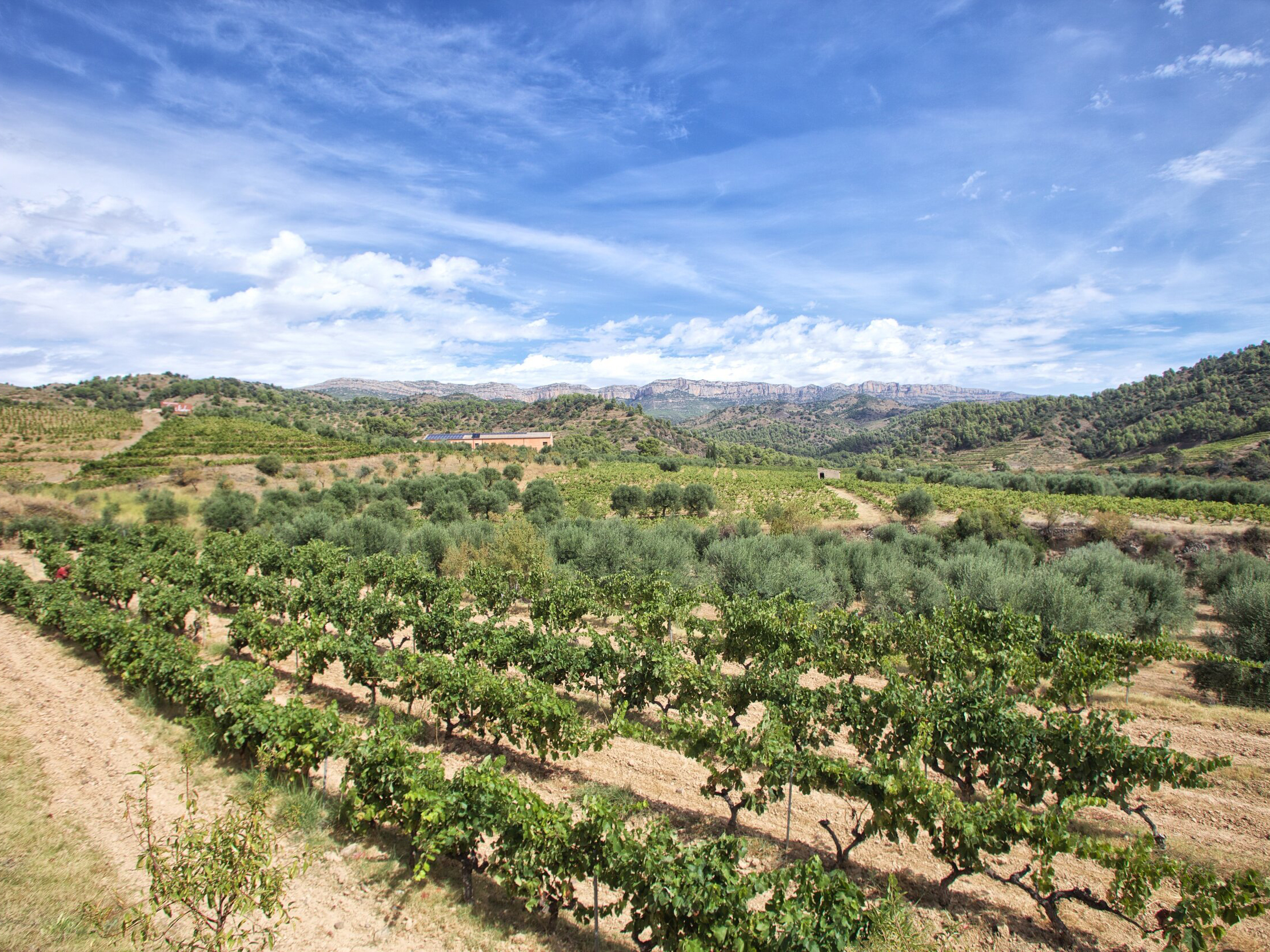 Bodega Bravo Escós, Torroja del Priorat