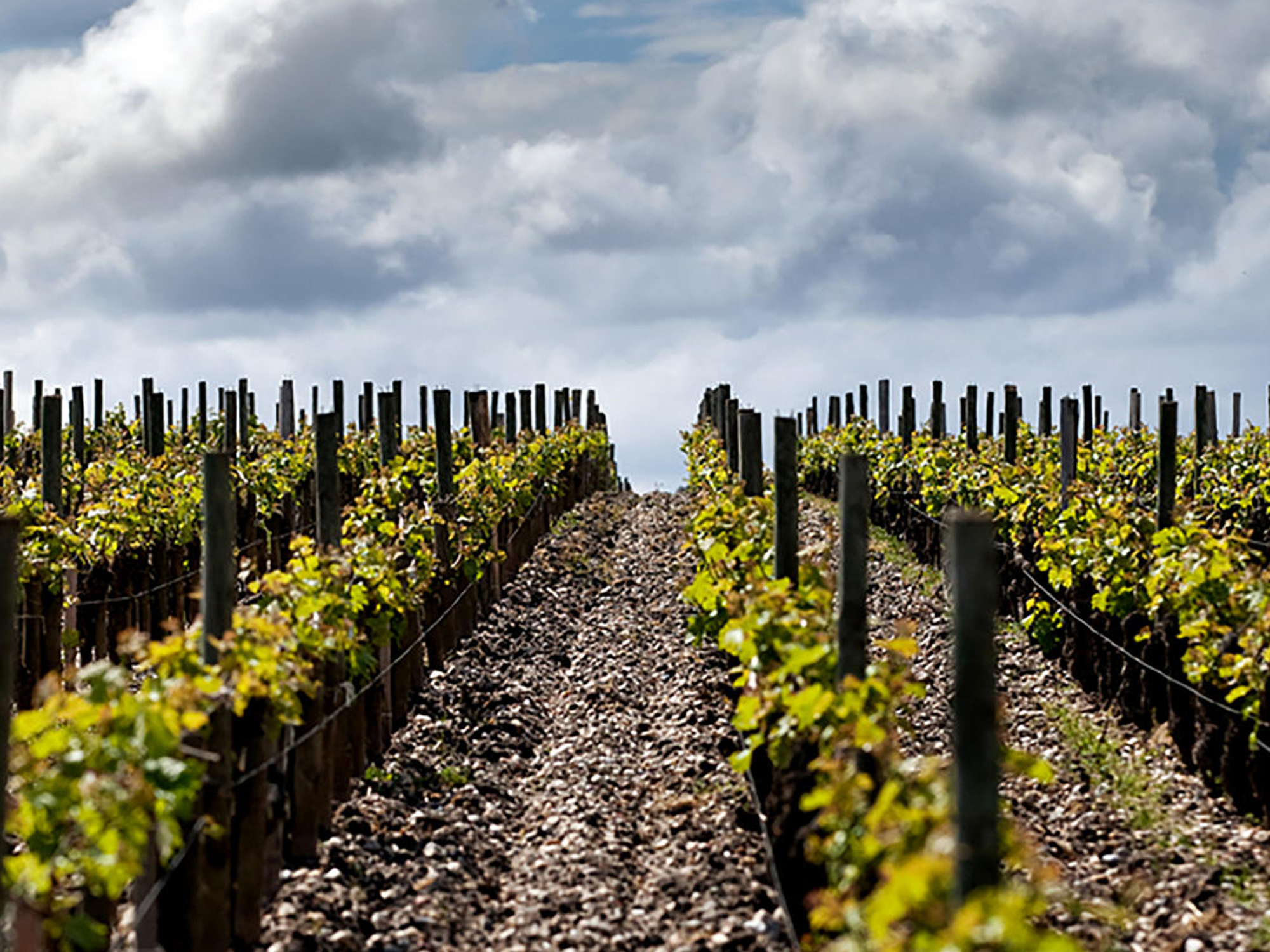 Château d'Armailhac, Pauillac