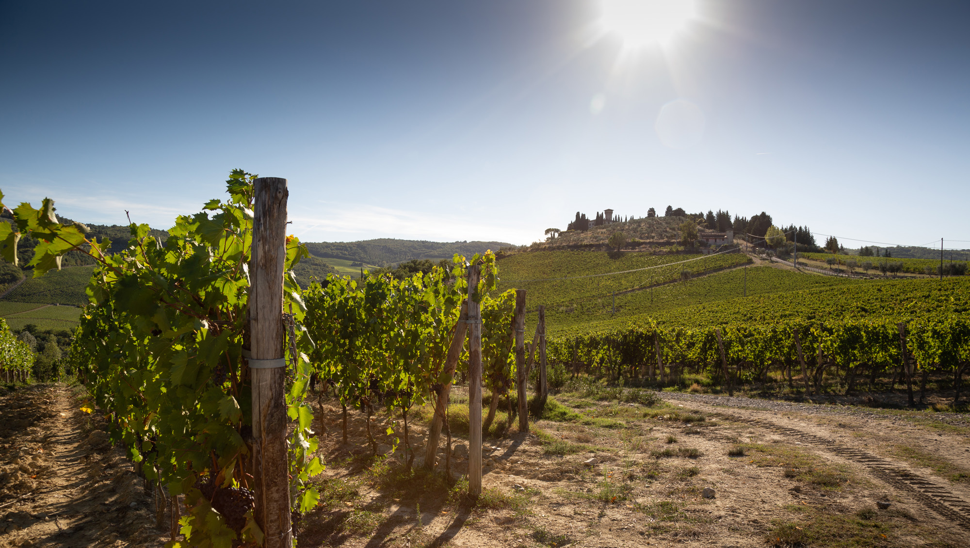 Weine aus Toscana/Chianti