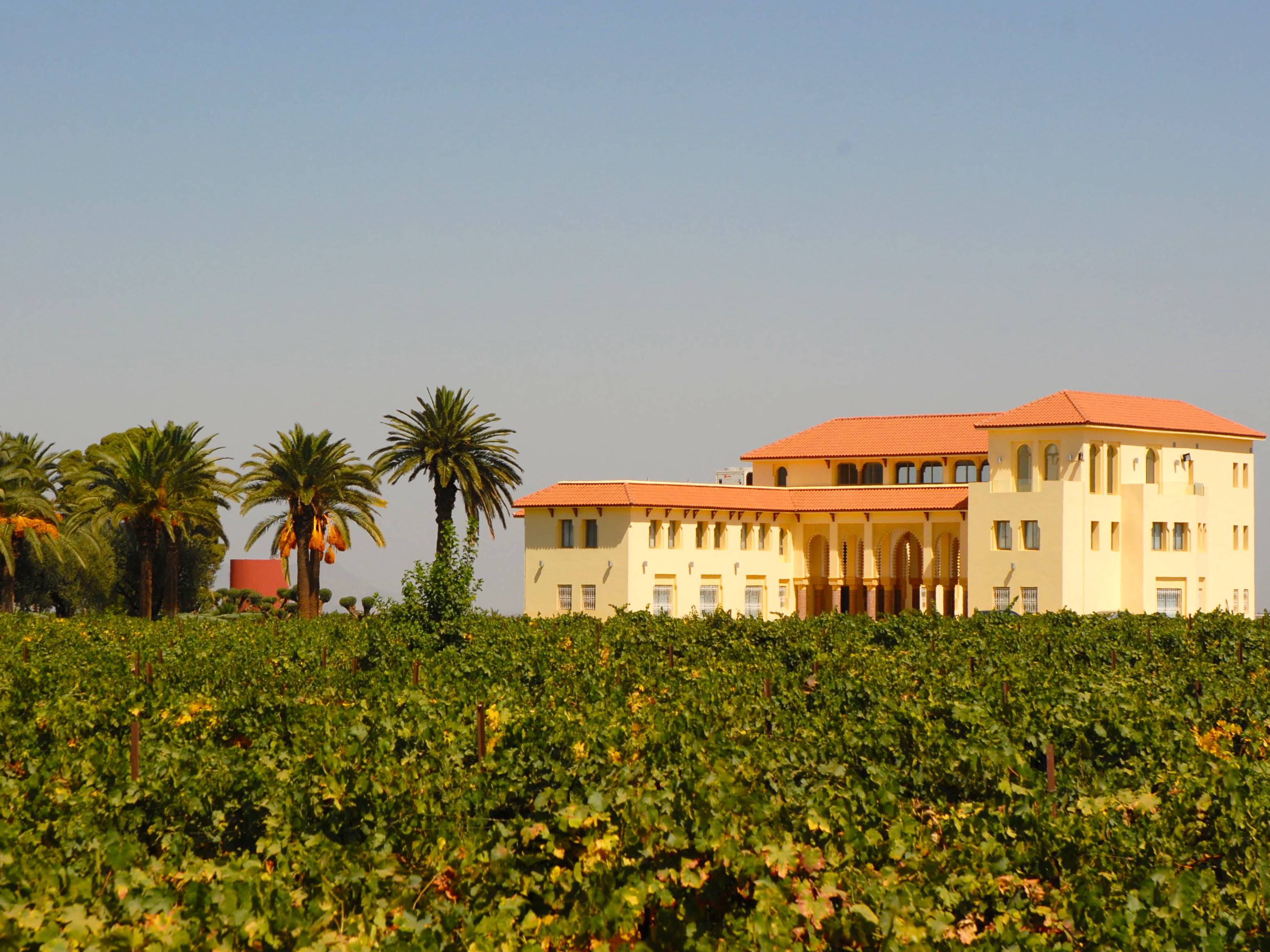 Les Celliers de Meknes, Iqaddar El Haleb