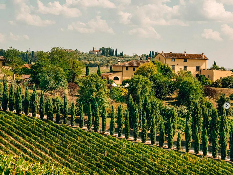 Weine von Cantine Leonardo da Vinci, Vinci