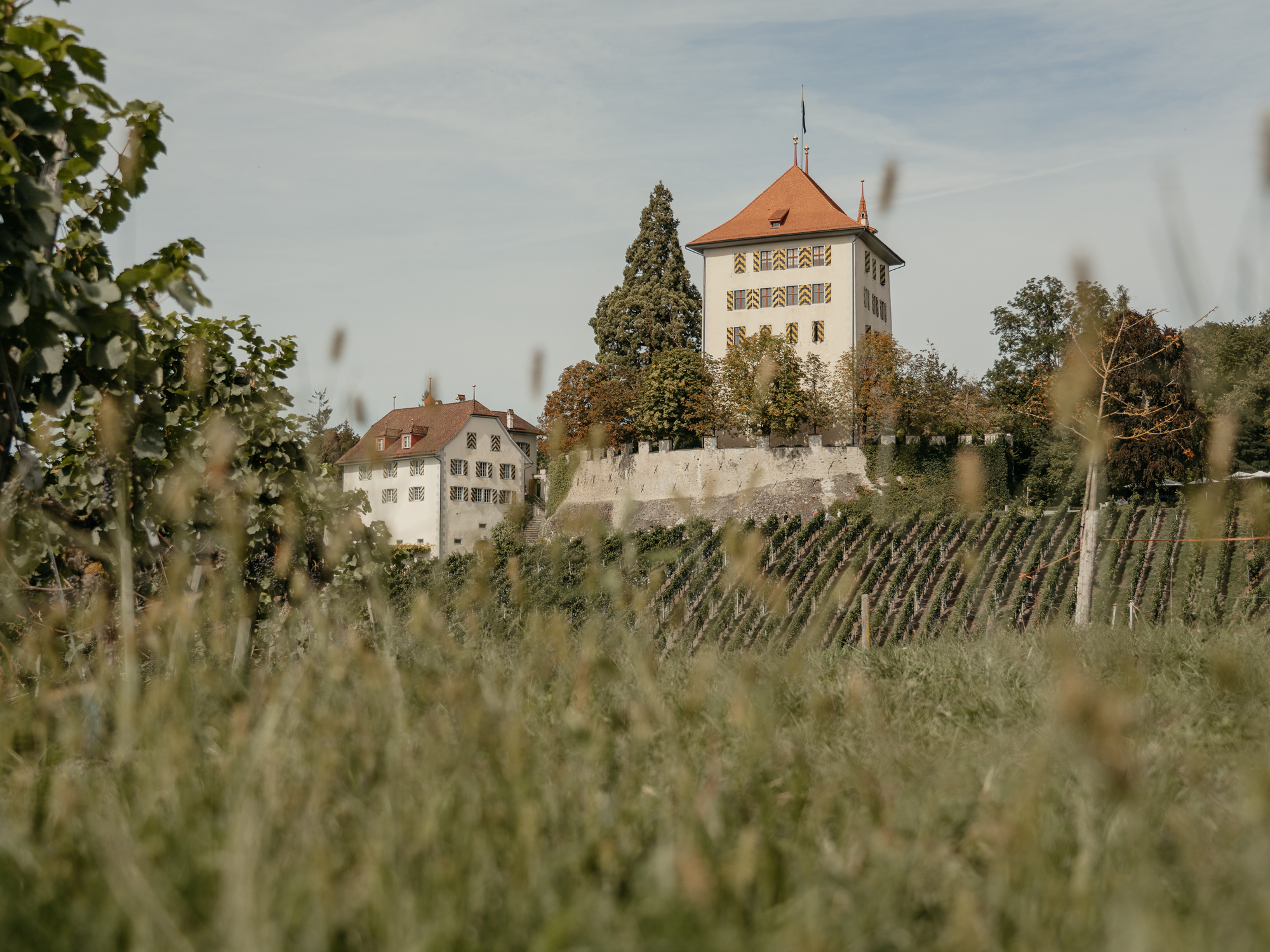 Weine von Weingut Heidegg, Gelfingen