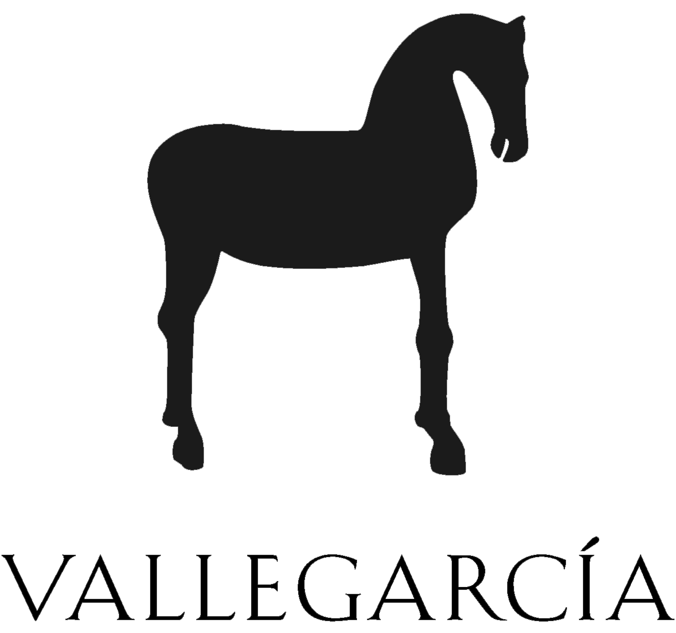 Logo Finca Vallegarcía, Retuerta del Bullaque