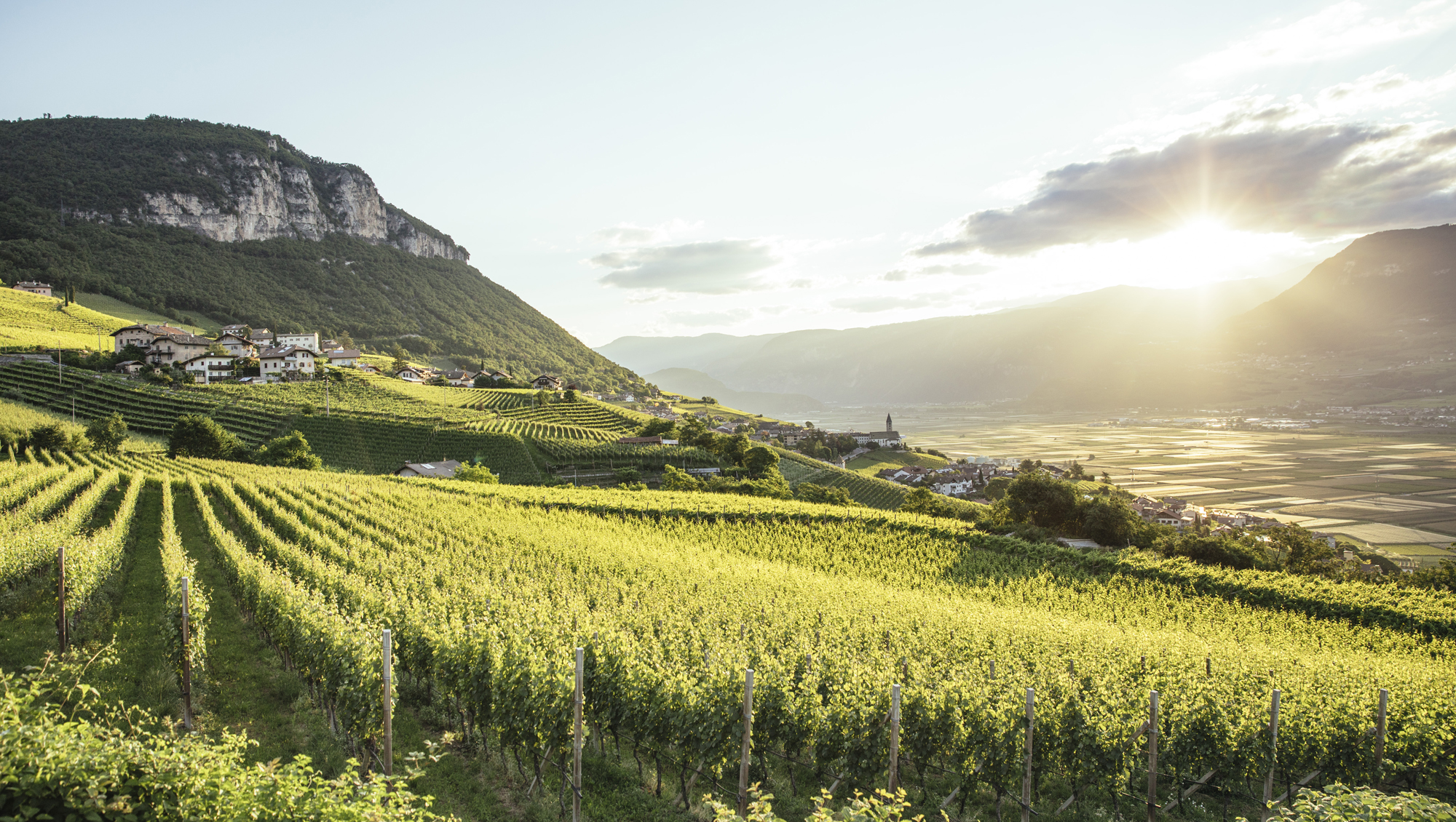 Weine aus Südtirol