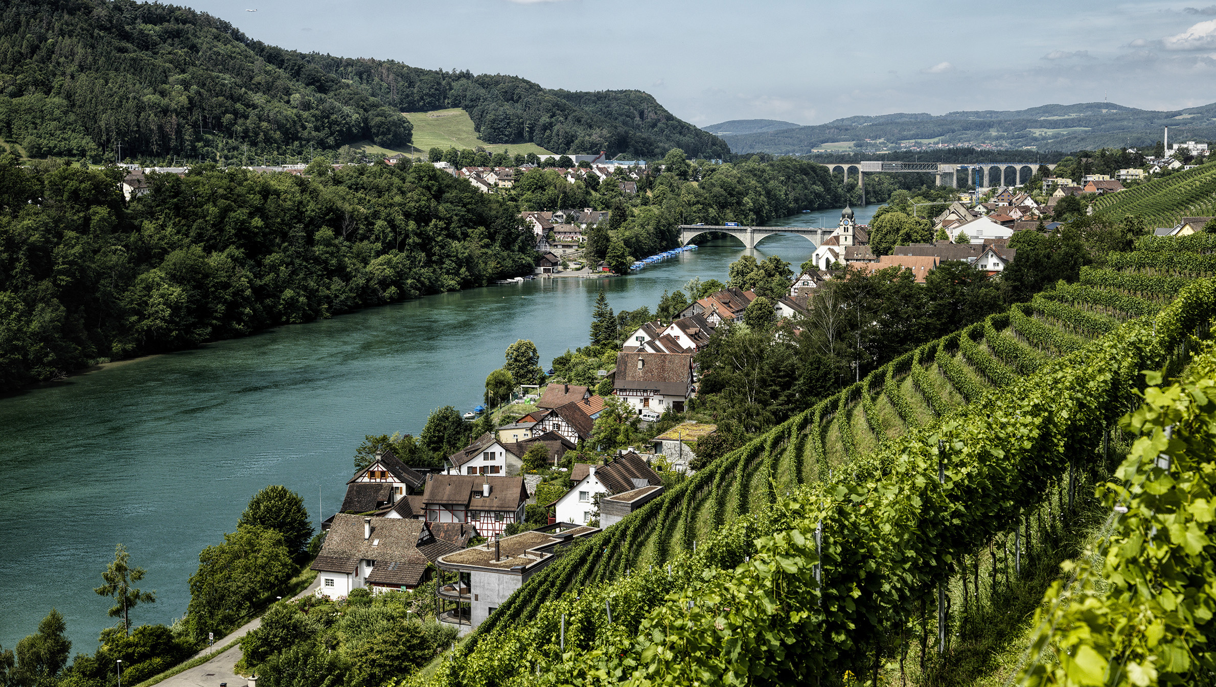 Weine aus Zürich