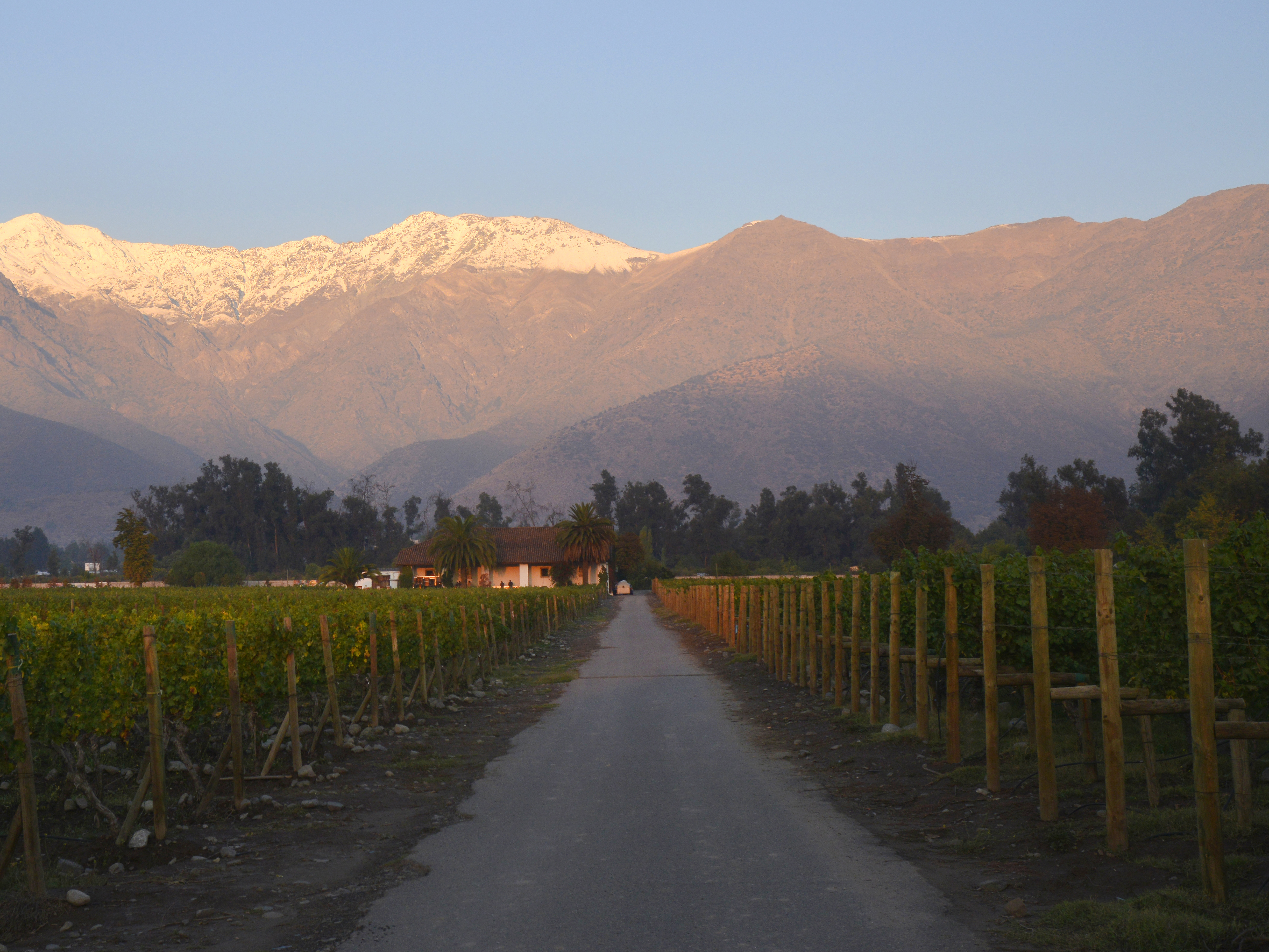 Vina Quebrada de Macul, Santiago