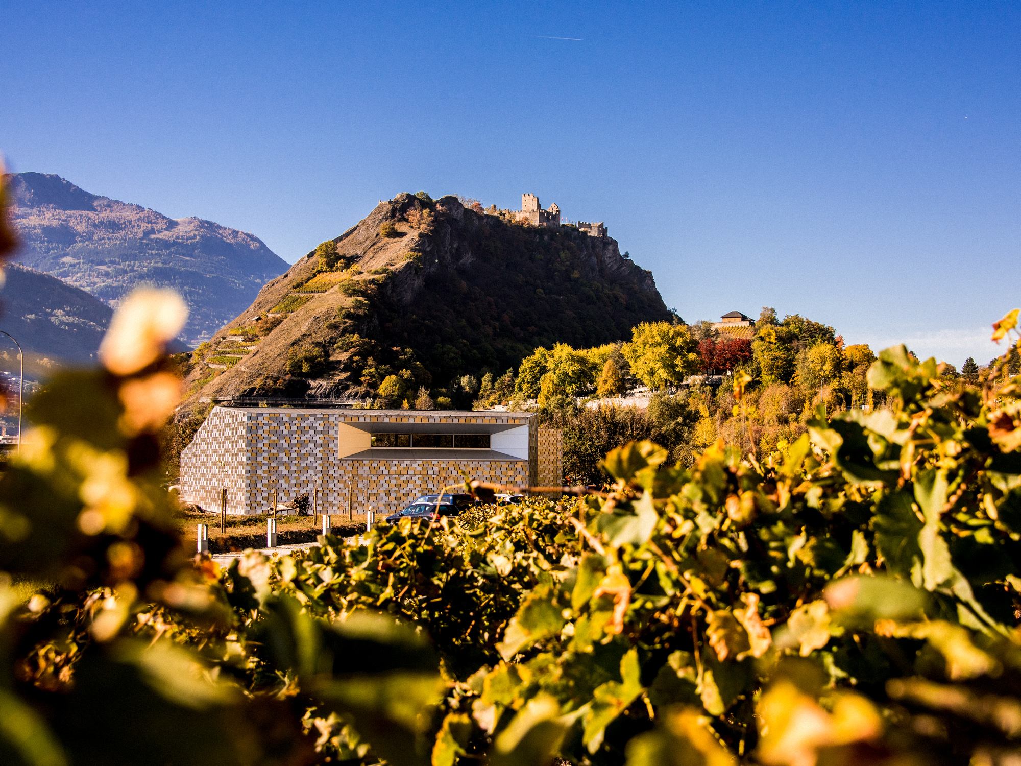 Weine von Les Celliers de Sion, Sion