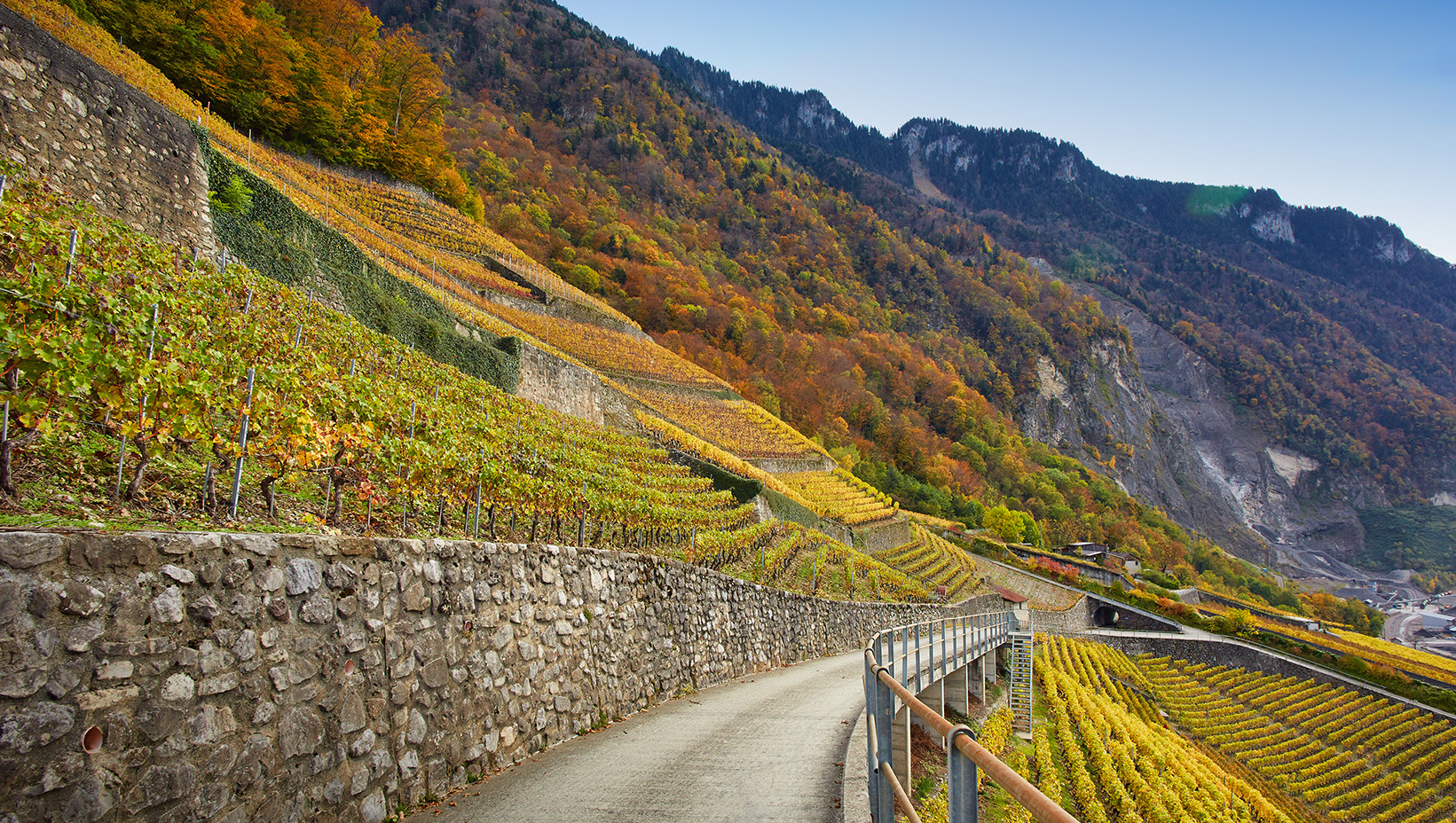 Weine aus Waadt Chablais