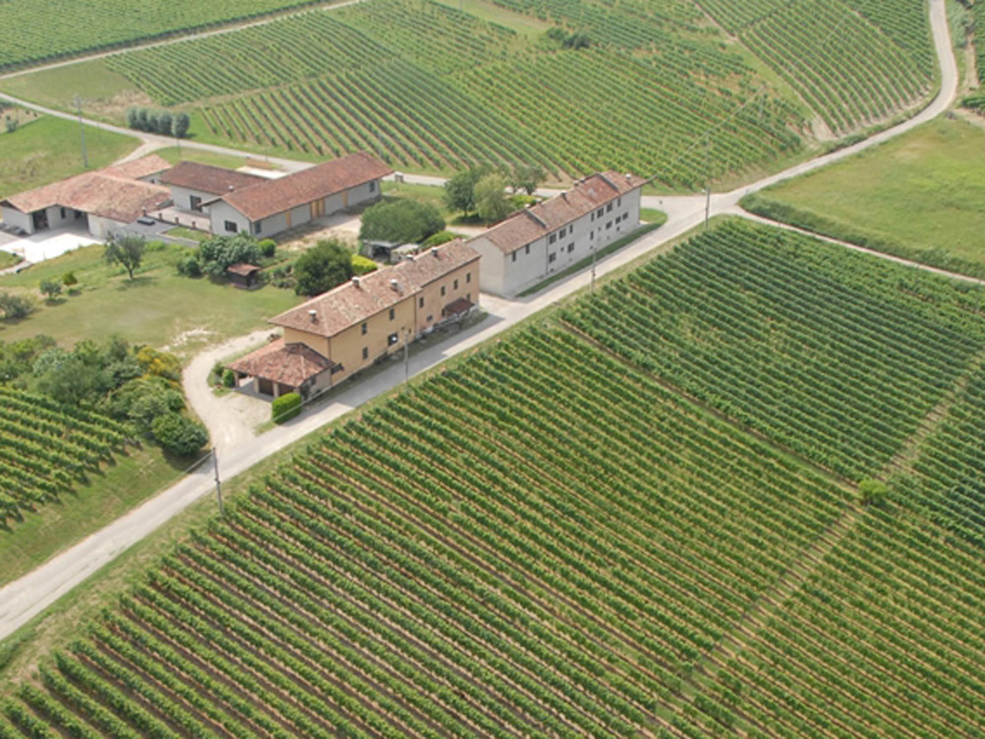 Weine von Cascina Castlèt, Costigliole d'Asti