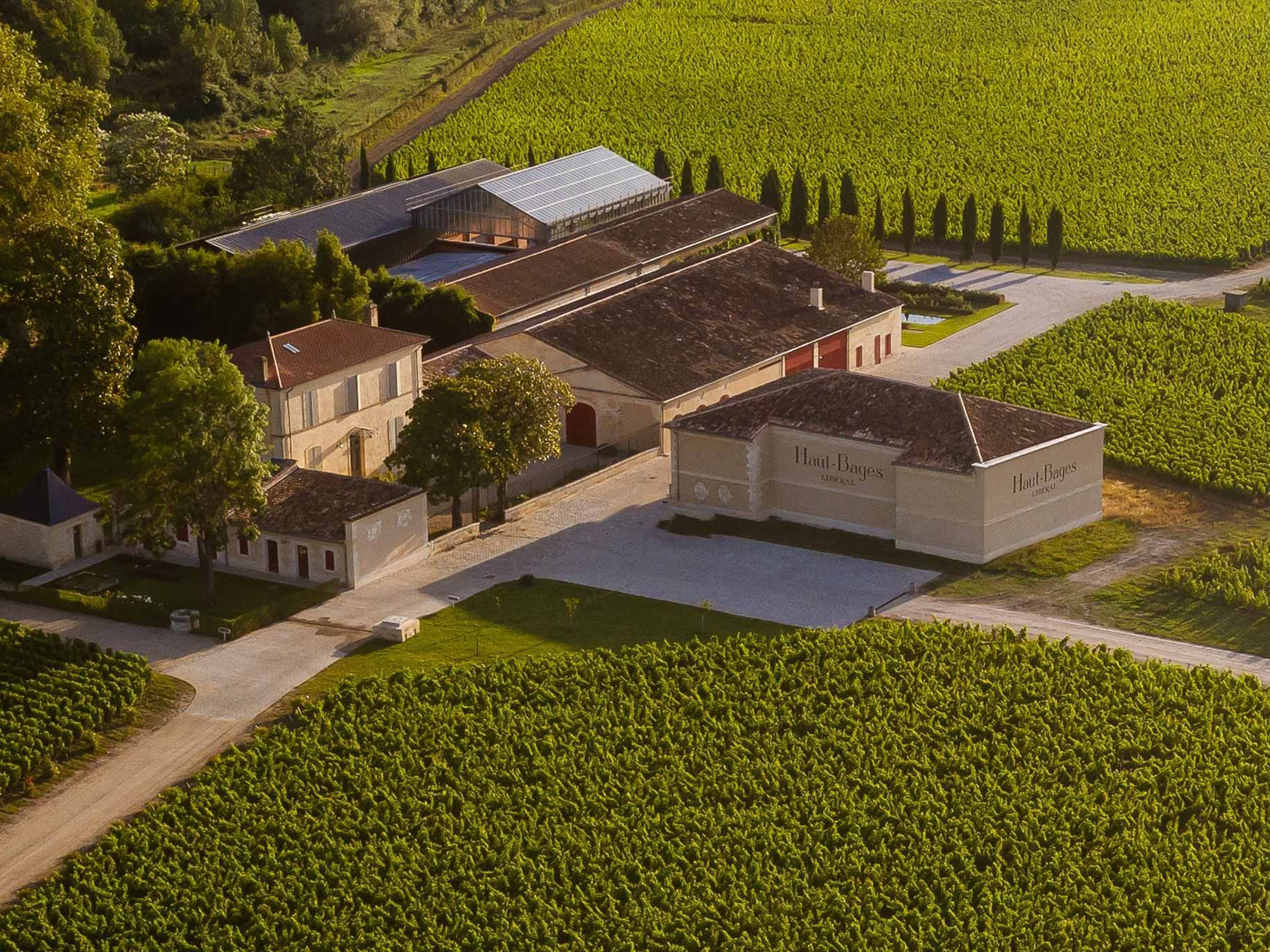 Weine von Château Haut-Bages Libéral, Pauillac