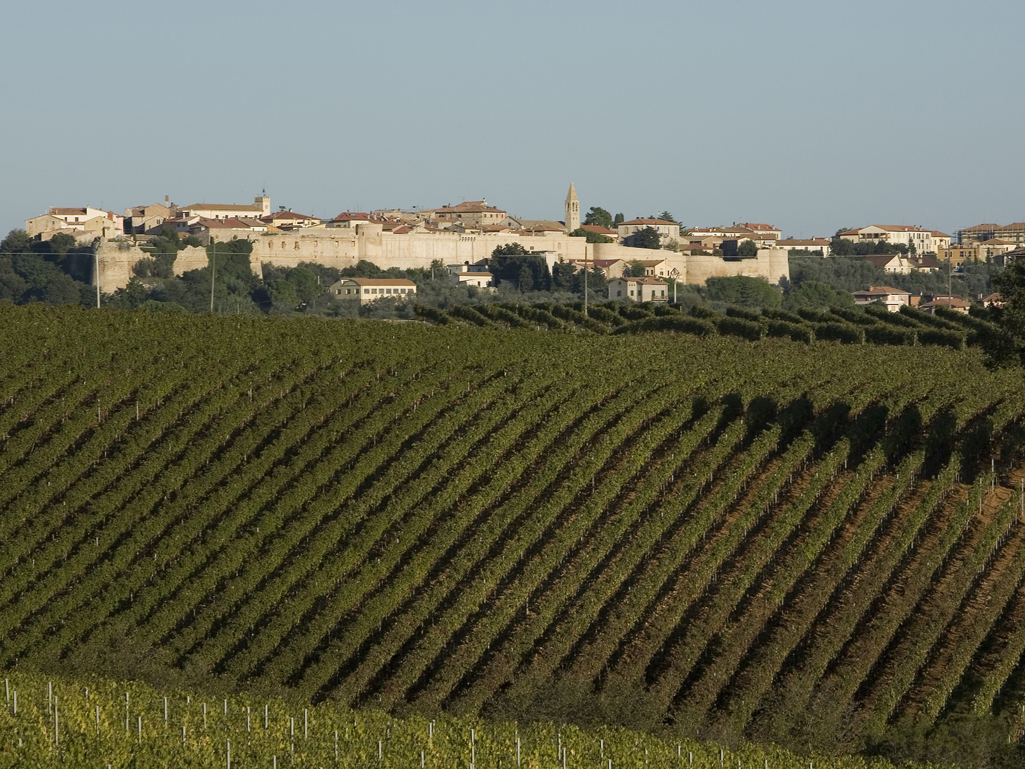 Fattoria Le Pupille, Grosseto