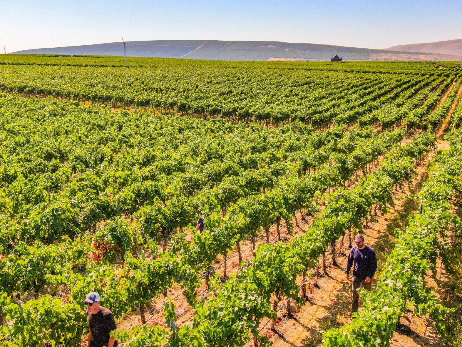 Domaine Larroque, Meknes