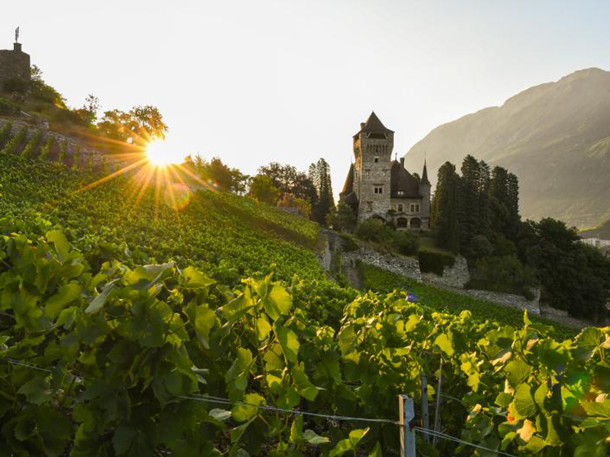 Domaine du Château Ravire, Sierre