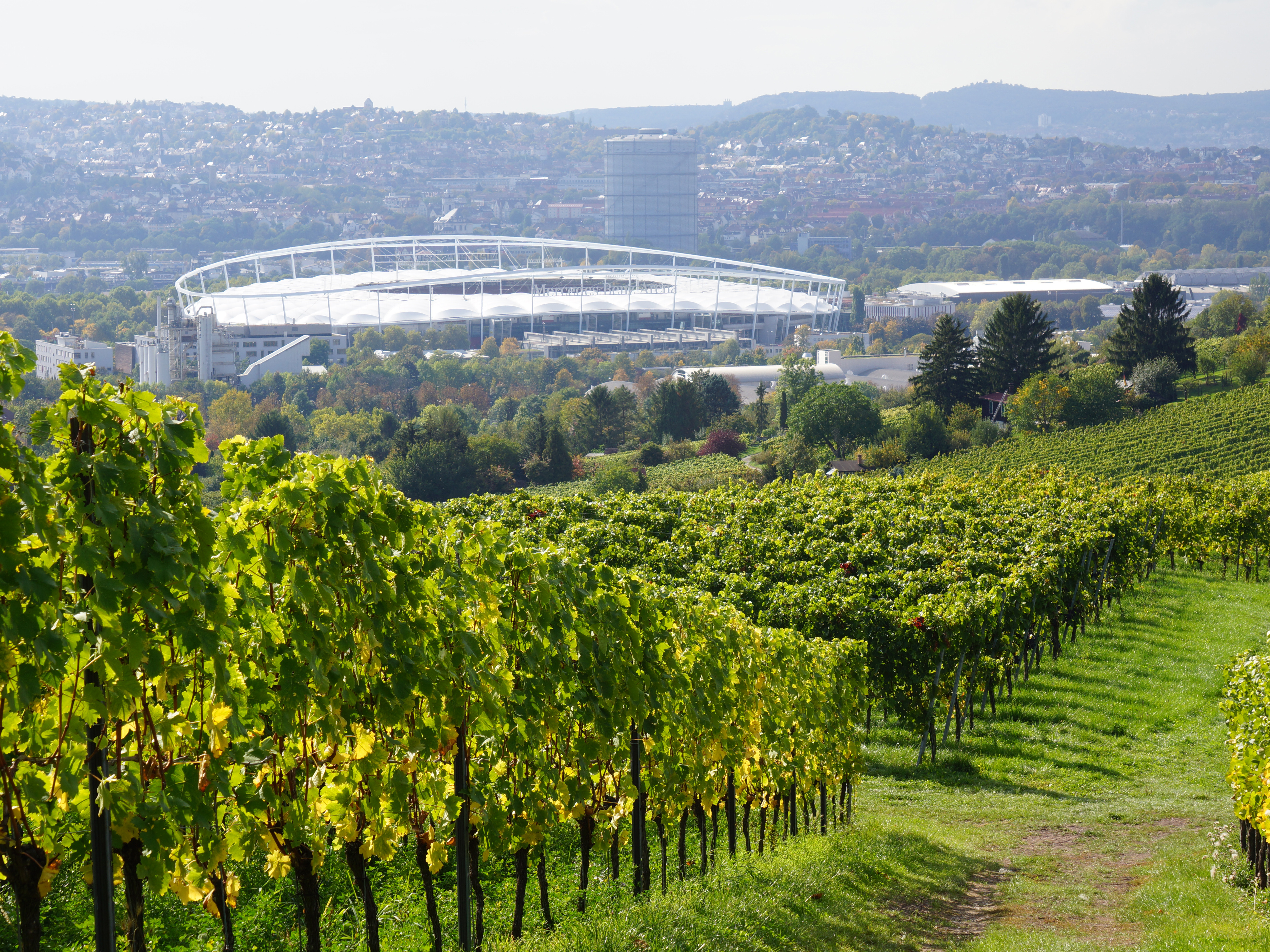 Weingut Wöhrwag, Untertürkheim