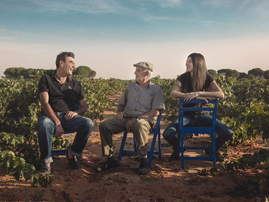 Weine von Bodegas Volver, Algueña