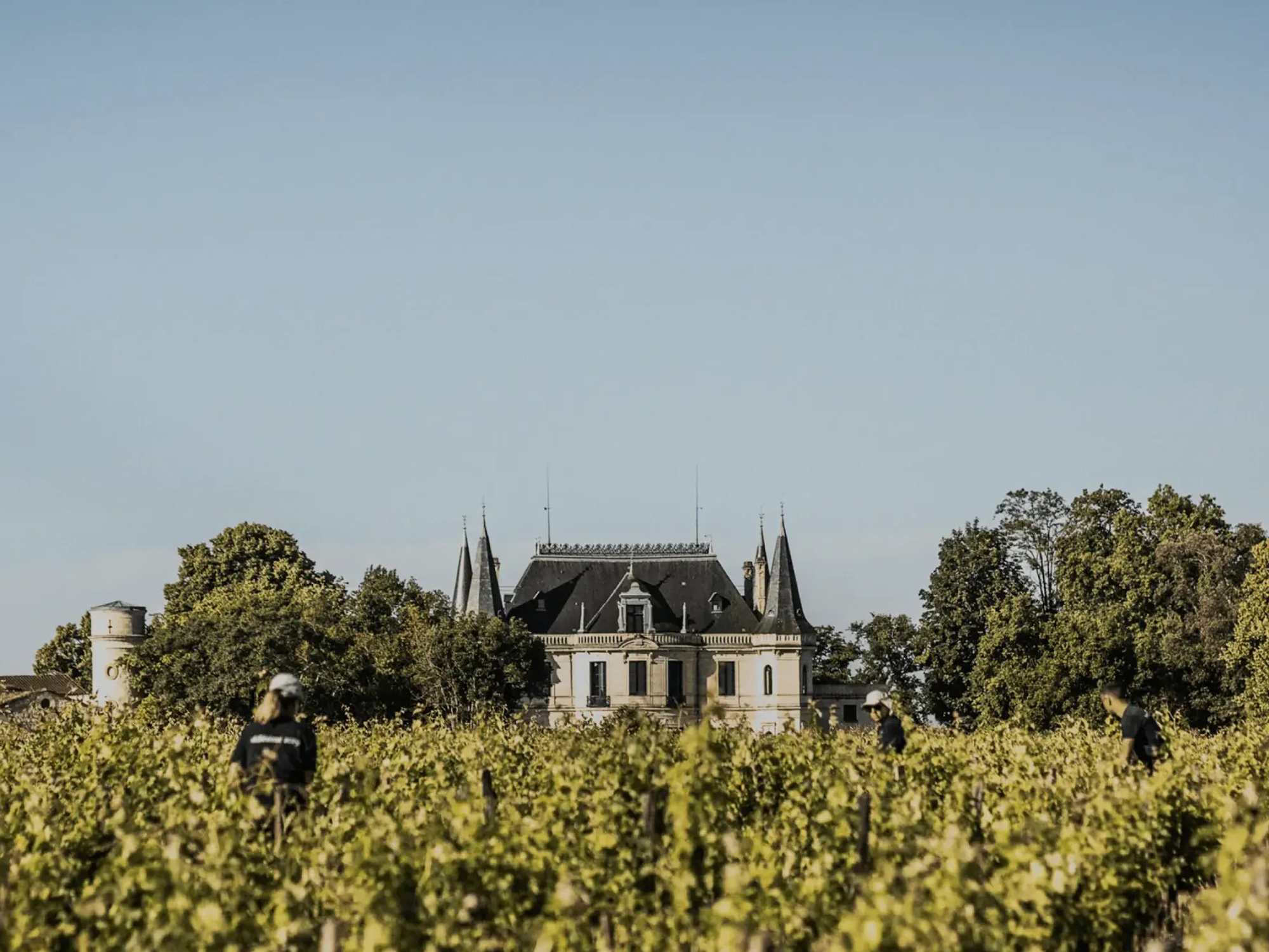 Château Palmer, Margaux