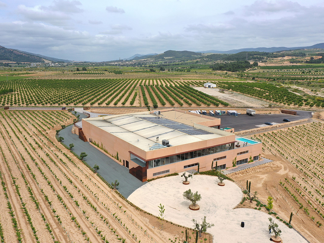 Bodegas Arráez, La Font de la Figuera